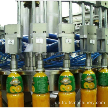 Verarbeitungsmaschinen für Wassermelonensaft